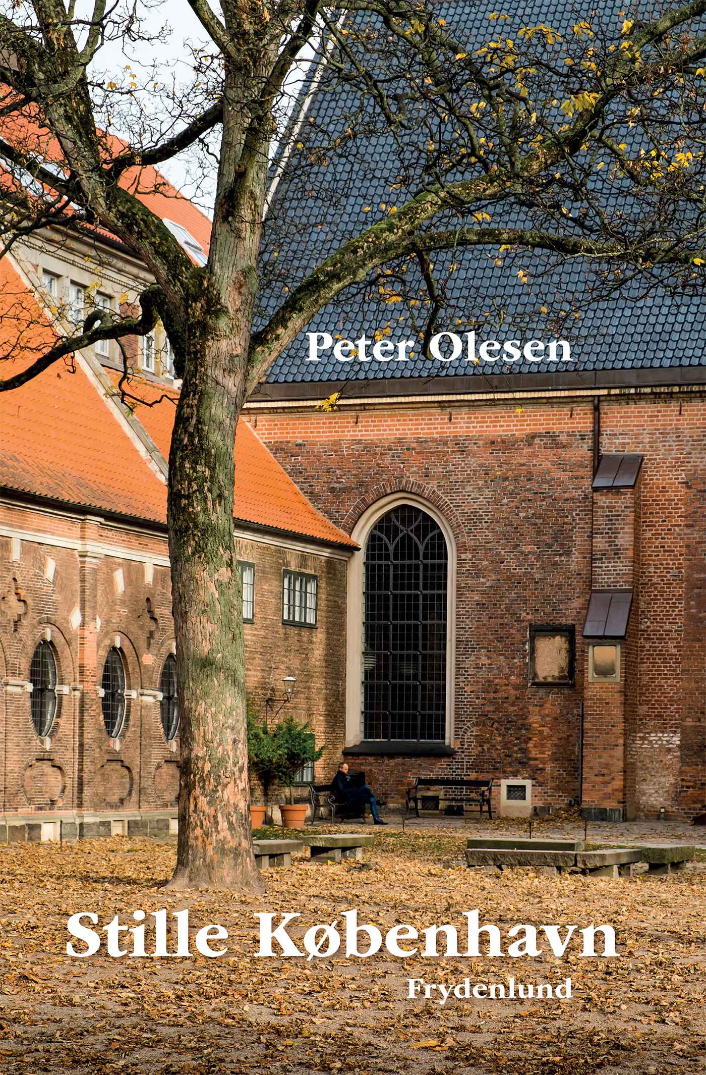 Stille København af Peter Olesen